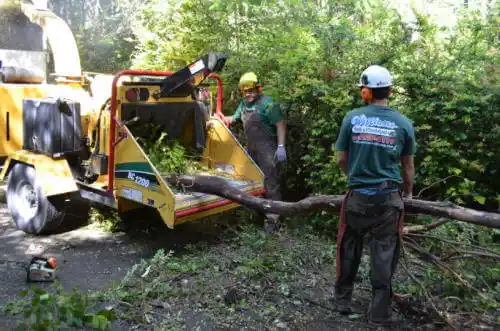 tree services O'Fallon